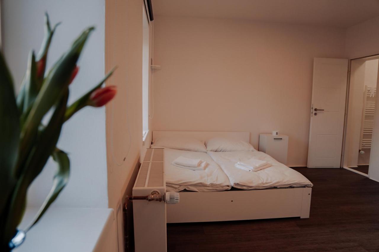 Apartmany Centrum Nový Bor المظهر الخارجي الصورة