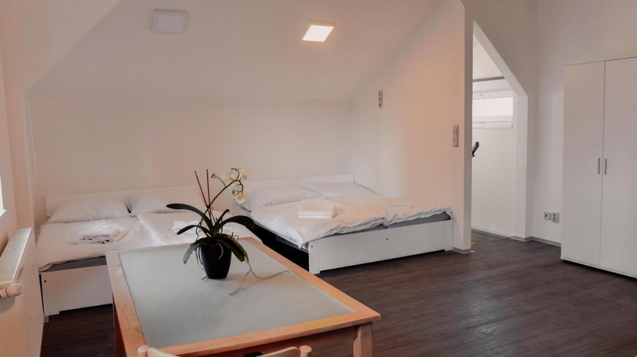 Apartmany Centrum Nový Bor المظهر الخارجي الصورة